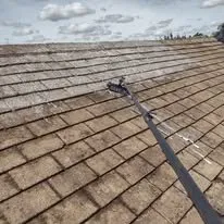 Roof Cleaning